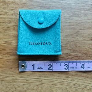 Tiffany & Co. Turquoise Pouch